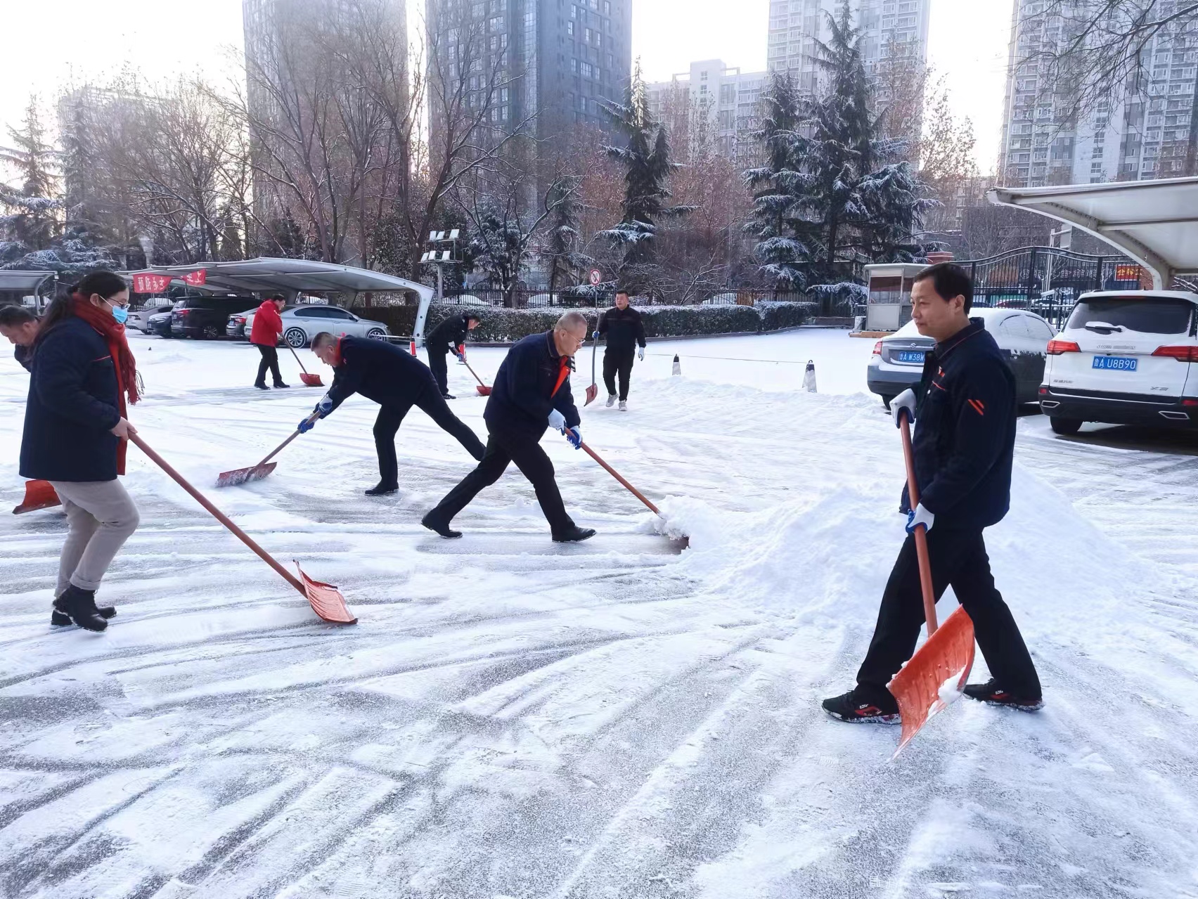 掃雪除冰志愿服務活動